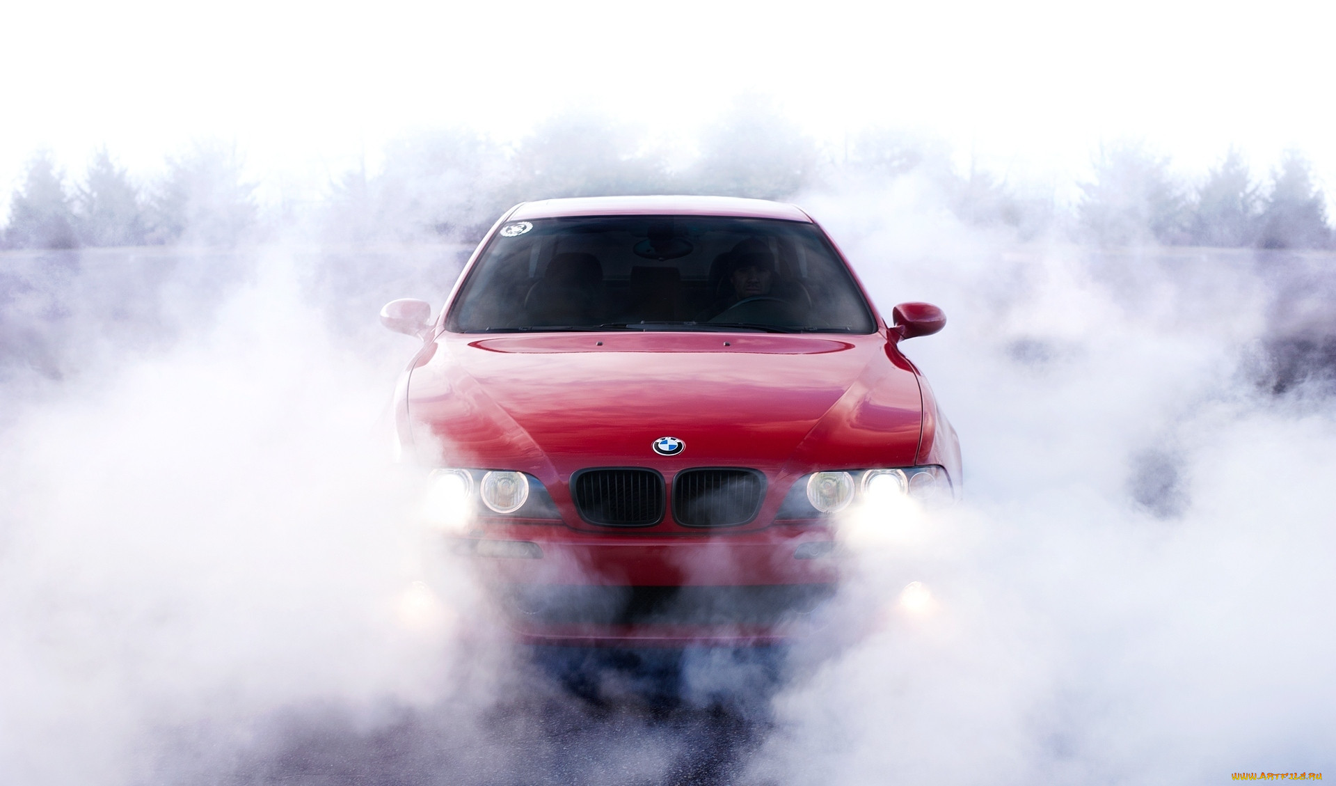 автомобили, bmw, туман